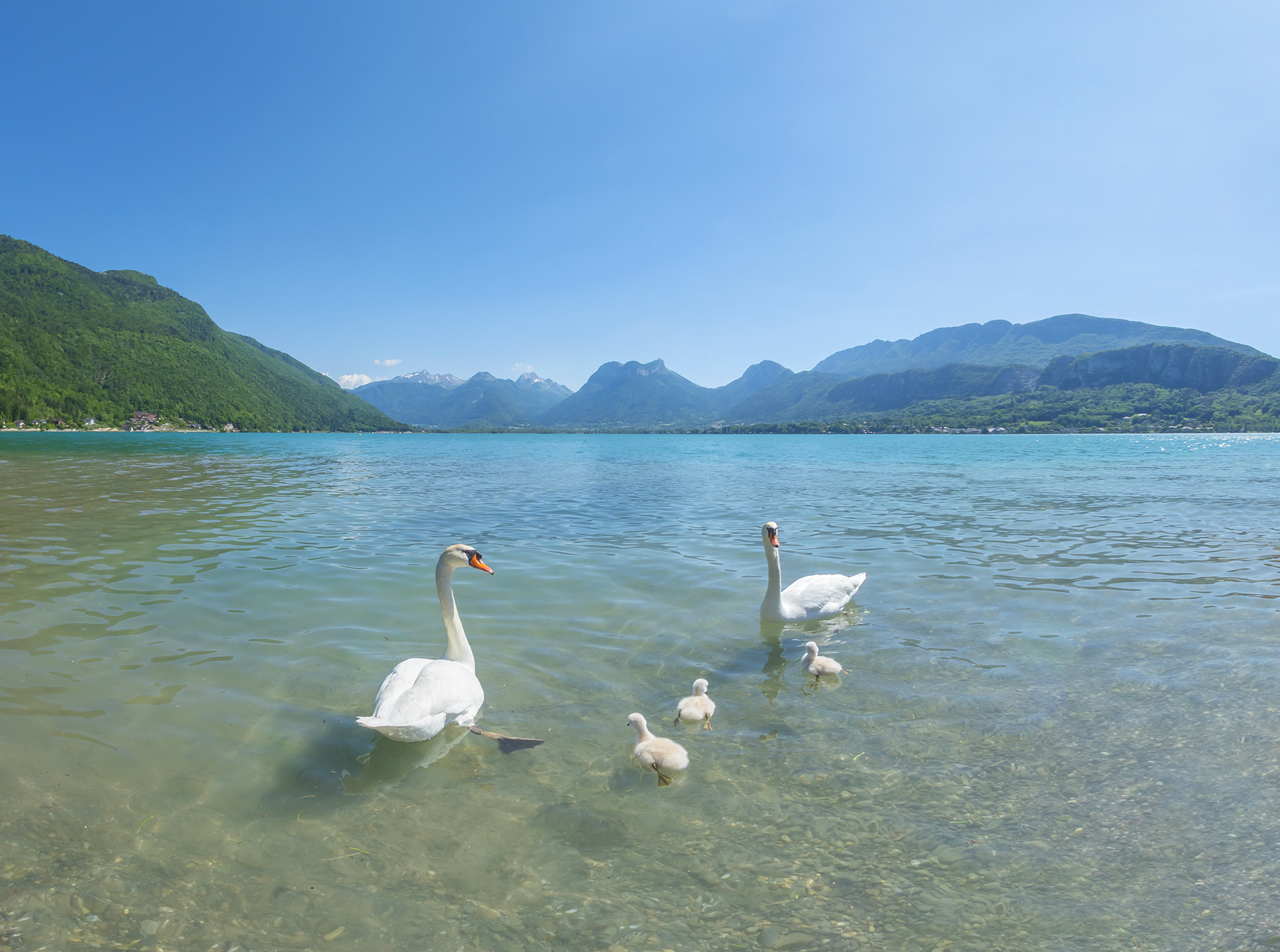 Lac d'Annecy