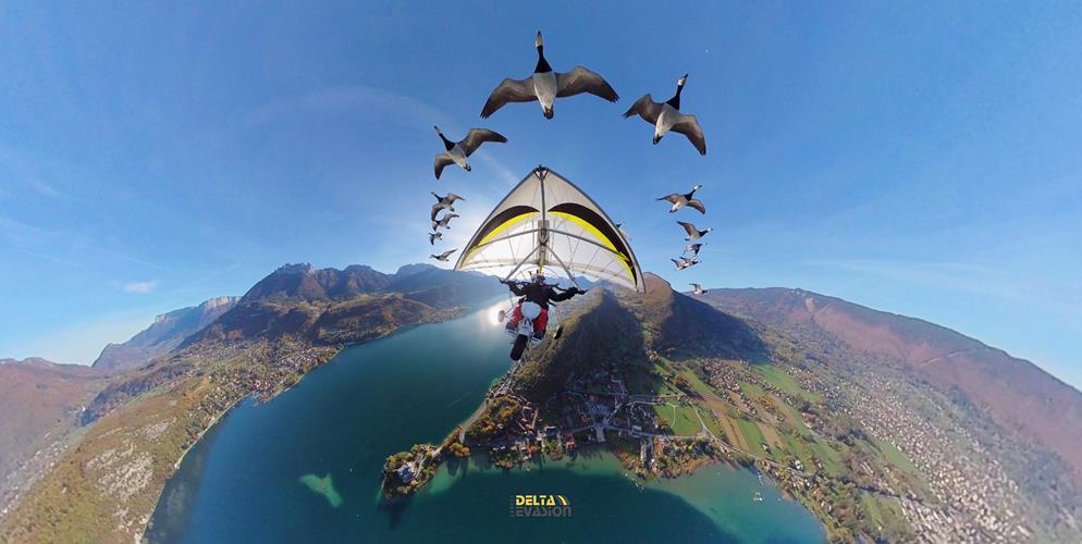 Vidéo 360 : Survol du lac d'Annecy avec les oies