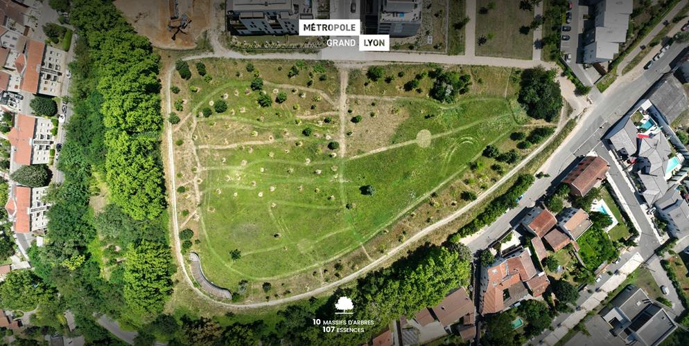 Visite virtuelle arboretum de Sathonay-Camp