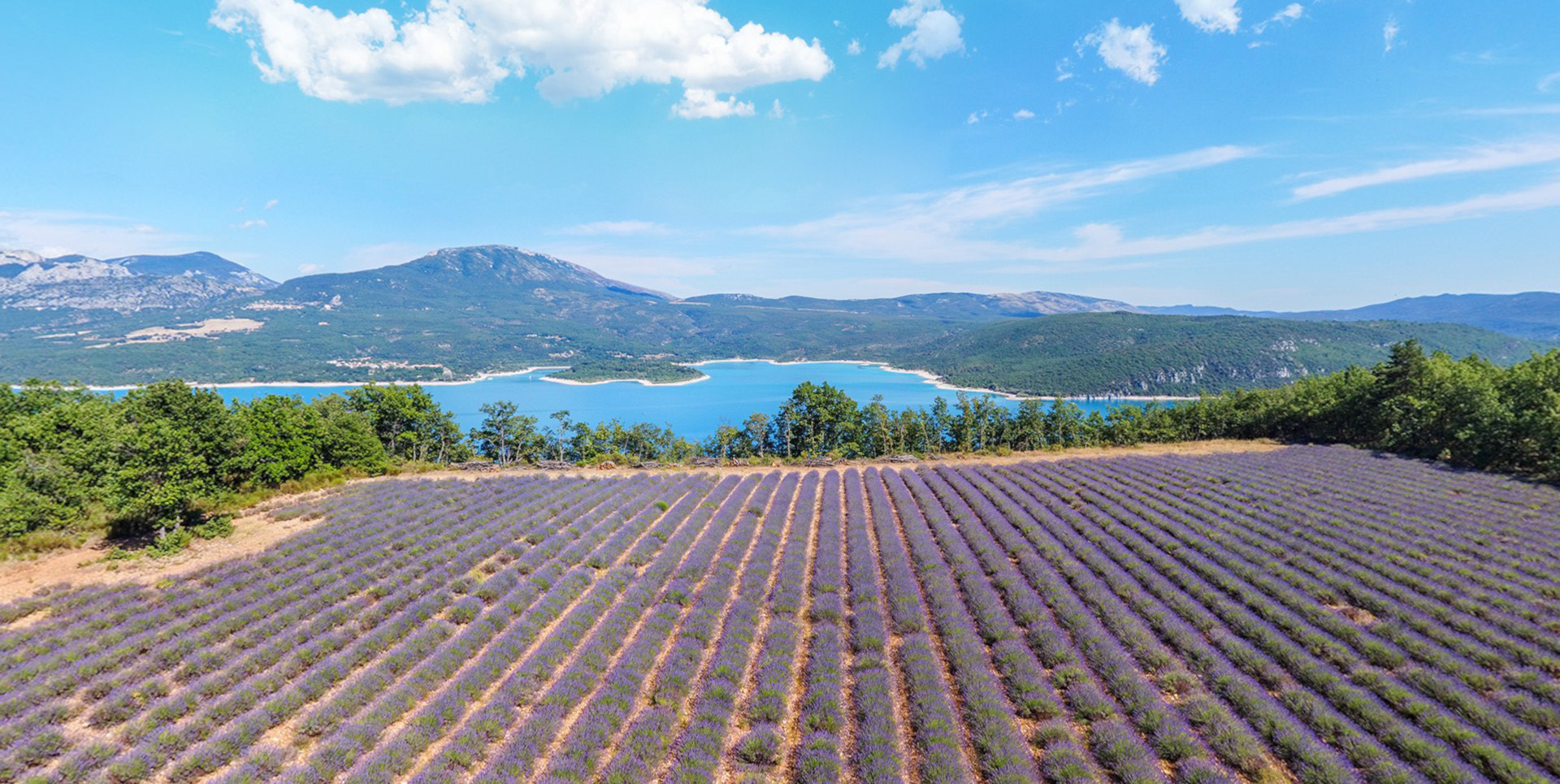 Drone 360 : Sur les routes de la Lavande en Provence